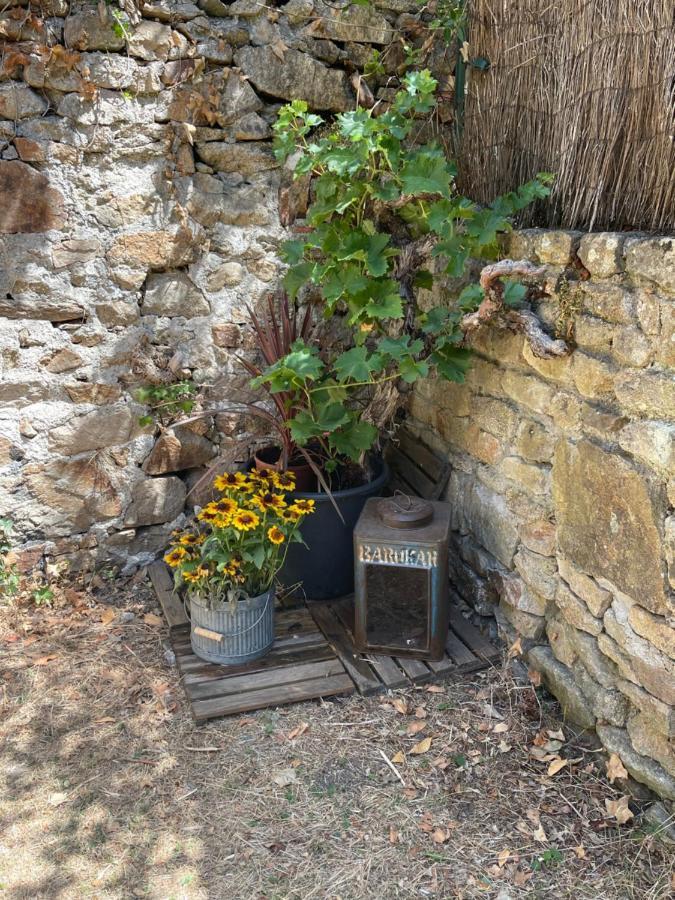 Le Patio, Coeur De Ville Avec Garage Et Jardin Vannes Kültér fotó